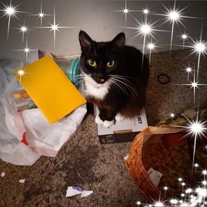 Meet your Posher, Katrina